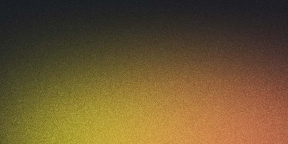 New Web App for Image Classification